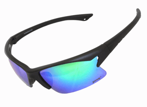Pugs Polarized A61602 sunglasses